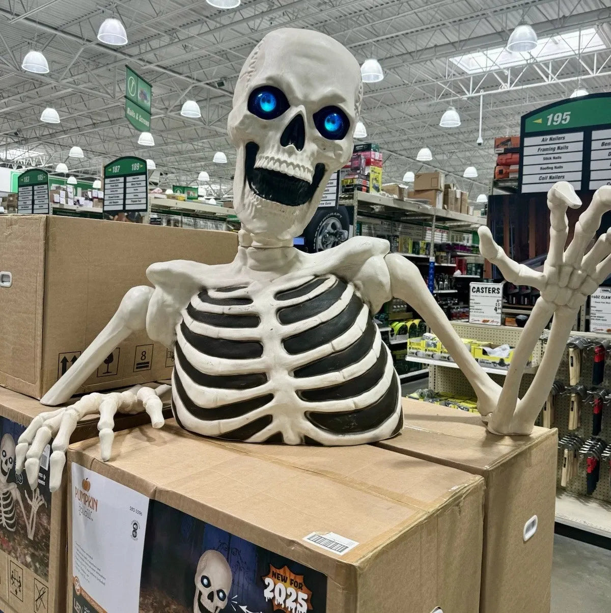 NEW Giant 7’5” Ground Breaking Skeleton with LED Eyes and Sound SHIPS NOW!
