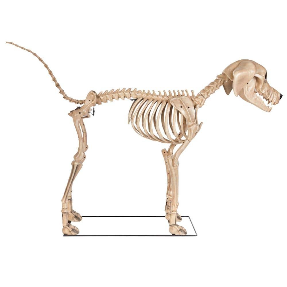 7 ft. Skelly's Dog